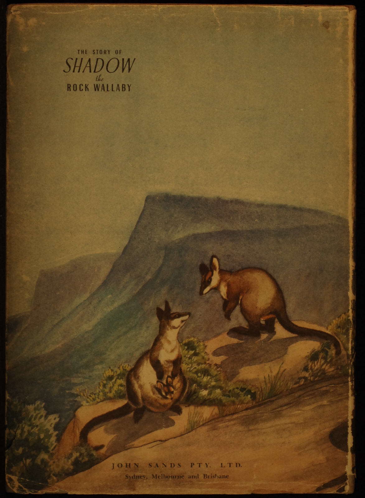 mbb006574b_-_Rees_Leslie_-_The_Story_Of_Shadow_The_Rock_Wallaby_-_WALTER_CUNNINGHAM.jpg