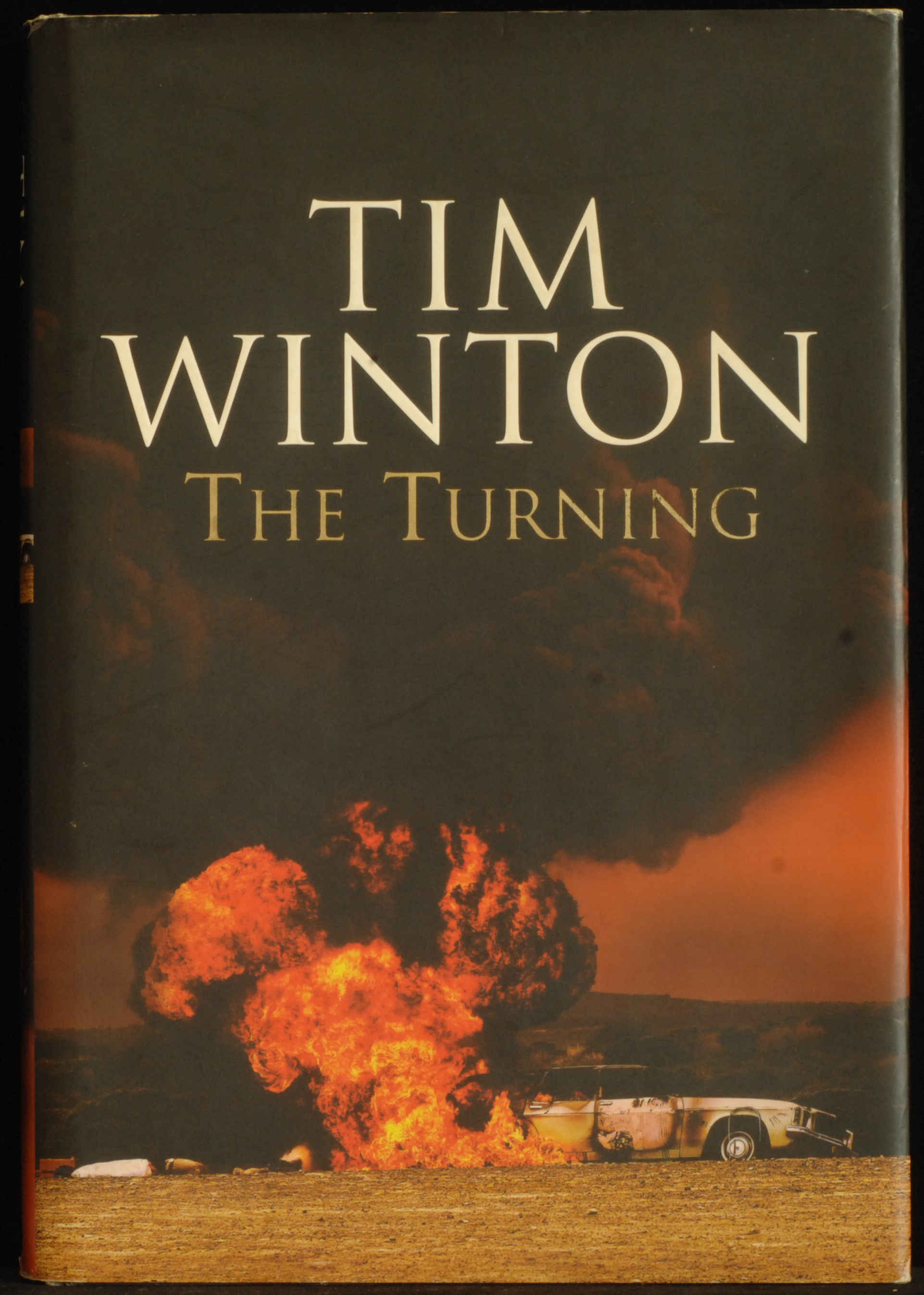 mbb007399a_-_Winton_Tim_-_The_Turning.jpg