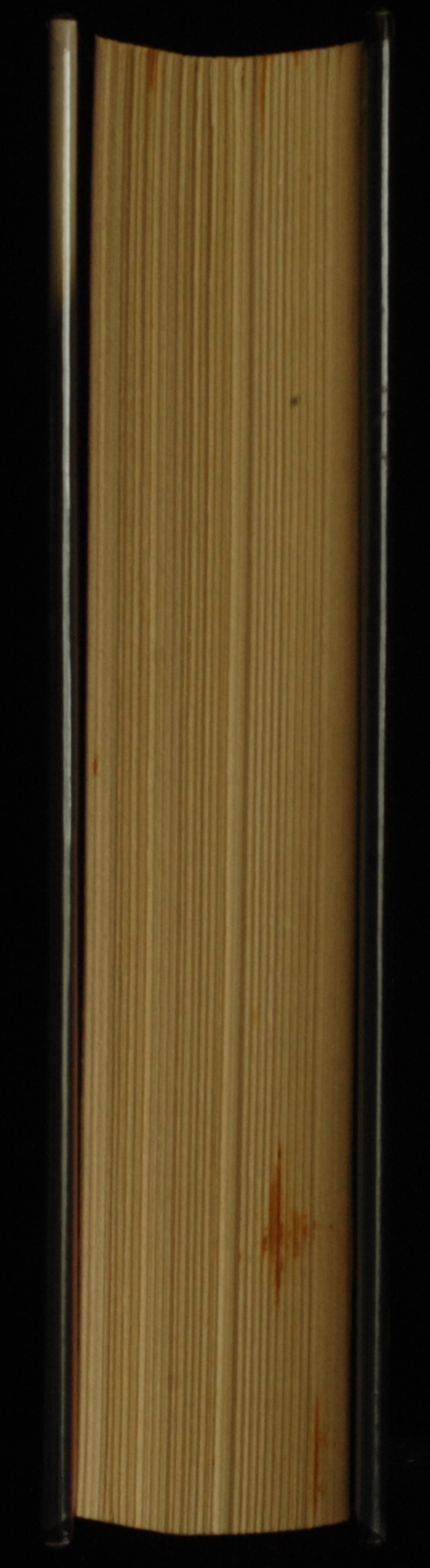 mbb007457d_-_Meyer_Stephenie_-_Twilight.jpg